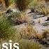 At Kati Thanda Lake Eyre An Inland Tsunami Is Making A Sea ABC NEWS
