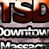 The Seagull Department Downtown Massacre 2011 Full Album