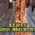 호조 마키 北条麻妃 가 지브리 캐릭터 였으면