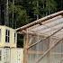 REAL OFF GRID LIVING HUGE GREENHOUSE SHIPPING CONTAINER HOUSE SECRET REVEAL LIVE