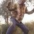 Dance Muko