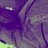 Morpheus 6 Sting David O Brien Epic Music