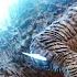 BIG Godzilla X Kong Supernova ATOMIC NEWS First Look At Production