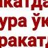 Бир ракаатда 2 3 зам сура ўқиш жоизми Абдуллоҳ Зуфар Ҳафизаҳуллоҳ