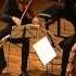 Franz Schubert String Quartet No 13 In A Minor The Rosamunde Quartet D 804 Op 29