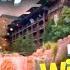 Should You REALLY Stay At Disney World S Wilderness Lodge