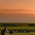 1 Wonderful Kazakh Steppe Adilet Rakhmetolla Kazakhstan Assy2 Sunset With Horses On High Hi