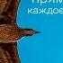 Рождественская постановка Нарния