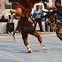 Sanskar Mishra Ka Hi Fi Kabaddi Nationalkabaddi