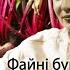Файні бурячки Remix Ua