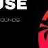 Tropical House Sample Pack V7 Essential Sounds Samples Vocals Presets