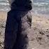 Walkonthebeach Waves Familytime Sound Sun Sea Shipwreck