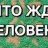 КТО ВАМ ВРЕДИЛ ЧТО ЖДЕТ ЭТОГО ЧЕЛОВЕКА ГАДАНИЕ НА ПЕСКЕ