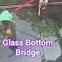 Walking On Glass The Bridge That Shouldn T Exist