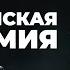 Прямая Трансляция Христианская эпидемия Пастор Андрей Шаповалов 17 05 25