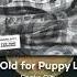 Snake City Too Old For Puppy Love