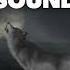 Wolf Howl 3d Sound Effect
