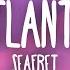 Seafret Atlantis