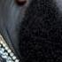 Rick Ross Sued For Allegedly Stealing Maybach Music Tagline