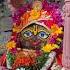 Krishna S Blessings A Reminder Of The Divine S Unconditional Love GEV DailyDarshan