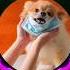 Тима Белорусских Просто Лера Минута Вечера Pet Muzic