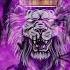 NO FEAR HOUR PHONK ANDROMEDA KVRXD NO FEAR 1hour Loop Funk1