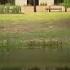 7 Year Old Girl Dies After Being Pulled From Frisco Retention Pond Officials Say