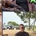 Wow Onana Meet Ibrahim Traore As Amad Zirkzee De Ligt Cunha Manchester United Stars All