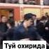 кайтма 95