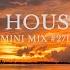 TECH HOUSE MIX Mini Mix 271 Mixed By P TEK