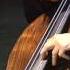 Giovanni Bottesini Concerto For Double Bass No 2 In B Minor