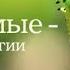 ПРО МИР НАСЕКОМЫХ НАПОМИНАЮЩИХ ПРО МИР ЛЮДЕЙ Насекомые гении стратегии Фильмы для всей семьи