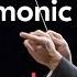 Pyotr Tchaikovsky Symphony No 5