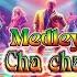 80 S LOVE SONGS CHA CHA Medley Reggae Karaoke Version
