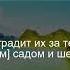 Коран Сура Инсан Мужчина 76 12 Чтение Корана с русским переводом Quran Translation In Russian