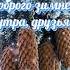 Доброго зимнего утра друзья Всех благ Вам дорогие