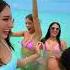 PPP BIKINIS Pinkpalmpuffswim Pinkpalmpuff
