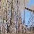 Ukraine War Is NATO And The United States Running Low On Ammunition
