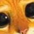 Misia A Misia B