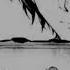 Bungou Stray Dogs Odasaku Death