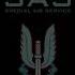 SAS Nedir Shorts Cs2 Sas