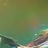 Tie TV Bauer S Waterpushing Pike Fly Inspired By Miuras Mouse