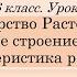 Царство Растения Внешнее строение и общая характеристика растений 6 класс Ботаника