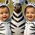 Baby Dudi Dudi Dam Dam Songs Dance Dudi Dudi Dum Dum Shorts Cutebaby Cute Baby Dudidudidamdam
