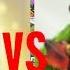 ИСЦЕЛЕНИЕ 6 лвл Vs АРБАЛЕТ 5 лвл Clash Of Clans