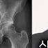 사랑을 나누다 당장 병원 가야하는 신호들 제발 하지마세요