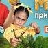 Манюня Приключения в деревне