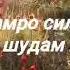 Модар кучои