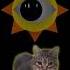 Oia Cat VS Huh Cat