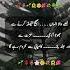 Deep Lines Golden Words Life Changing Quotes Shorts Ytshorts Islamicstatus Love Allah Subscribe
